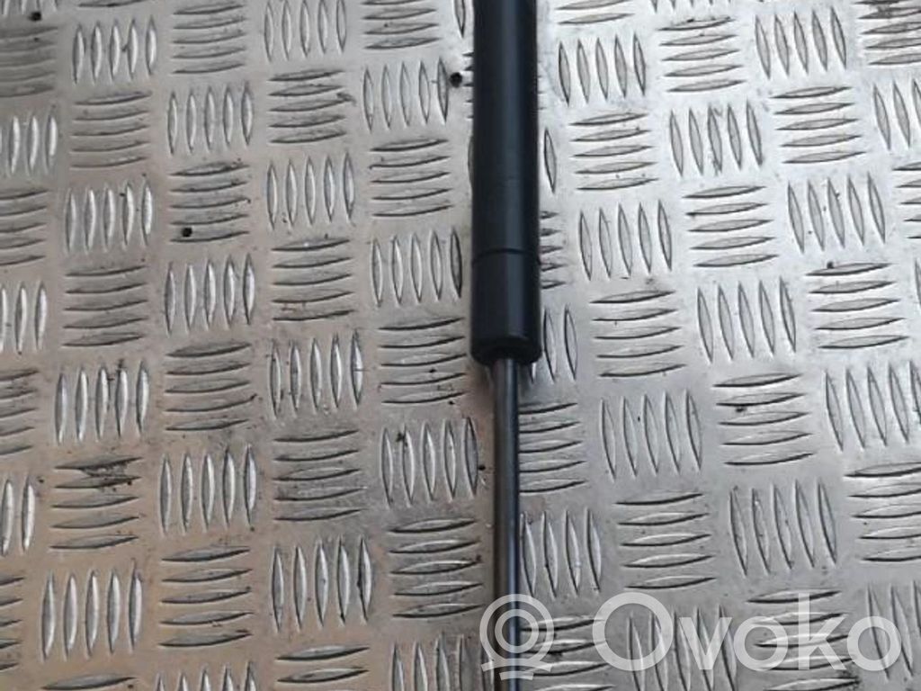 Tailgate/trunk strut/damper   7M0827550G