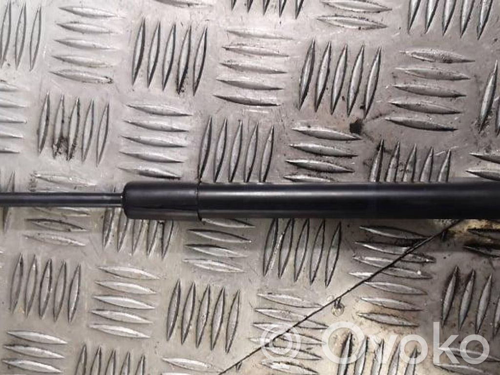 Tailgate/trunk strut/damper   4F5827552B