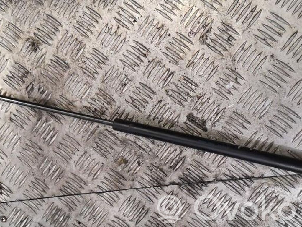 Ford Focus Tailgate/trunk strut/damper 