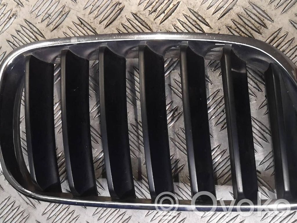 BMW X3 E83 Front bumper upper radiator grill 