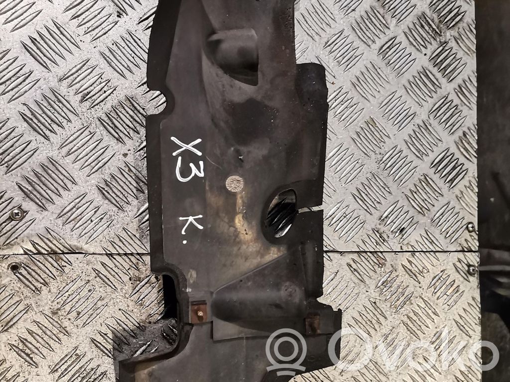 BMW X3 E83 Gaisa plūsmas novirzītājs (-i) 