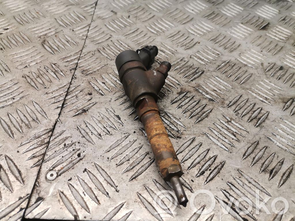Peugeot 307 Fuel injector 