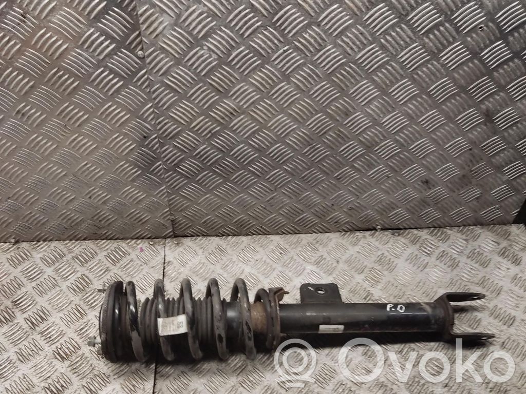 Front shock absorber with coil spring   104436901F
