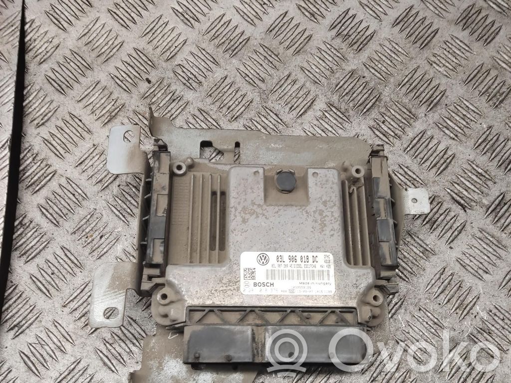 Volkswagen Caddy Engine control unit/module 