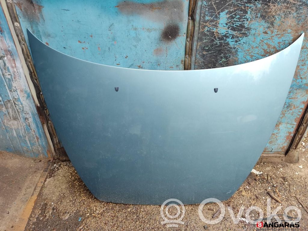 Engine bonnet/hood