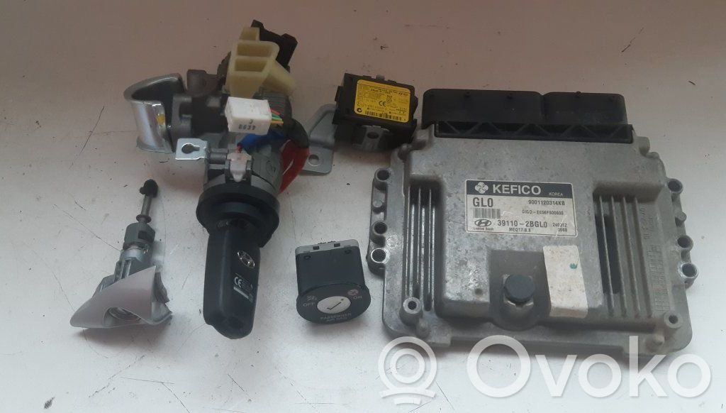 Sterownik / Moduł ECU   391102BGL0,391102BGL0,95420A570C