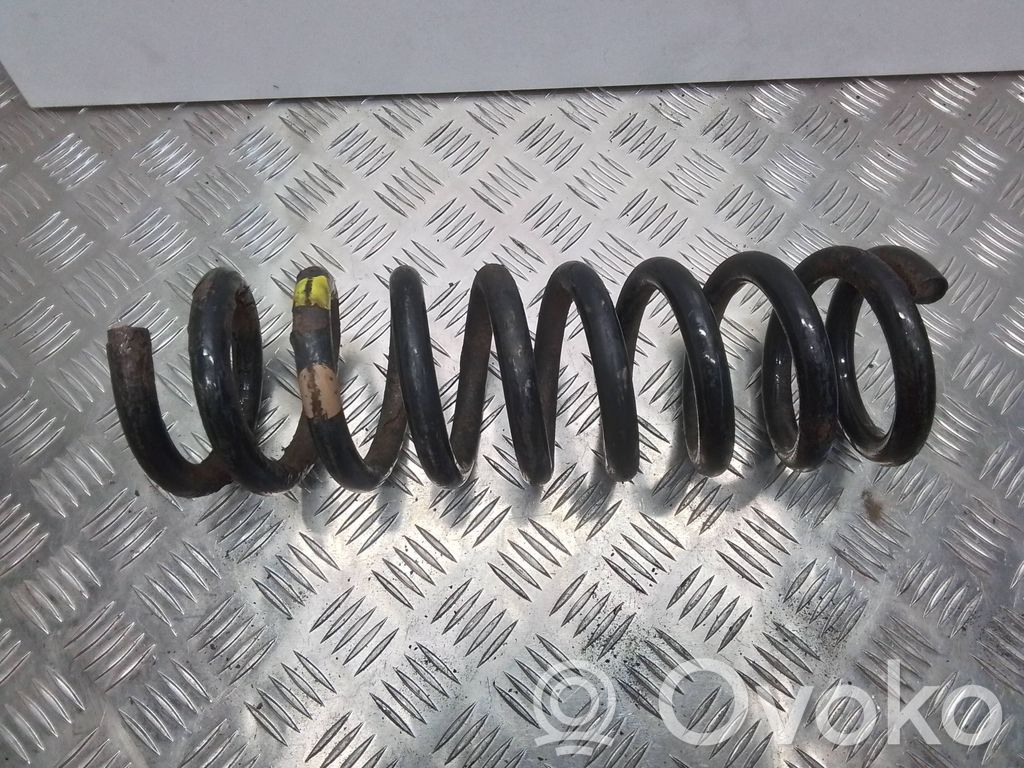 Front coil spring