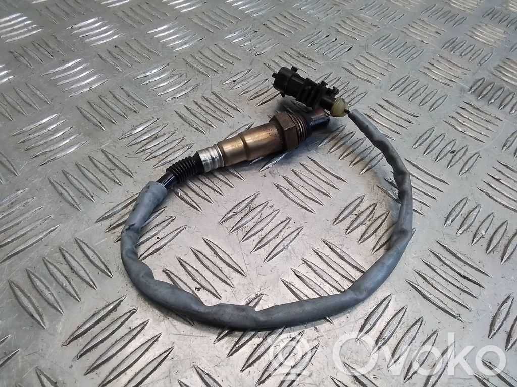 Lambda zondas   55563348