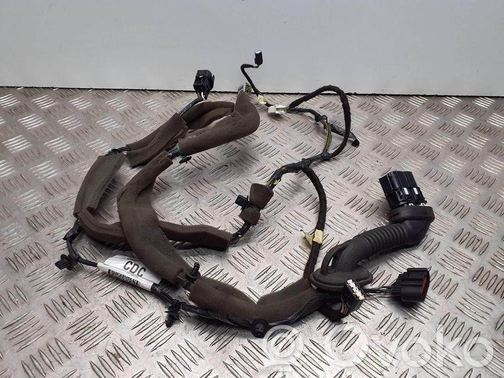 Ford Focus Cableado de puerta delantera 