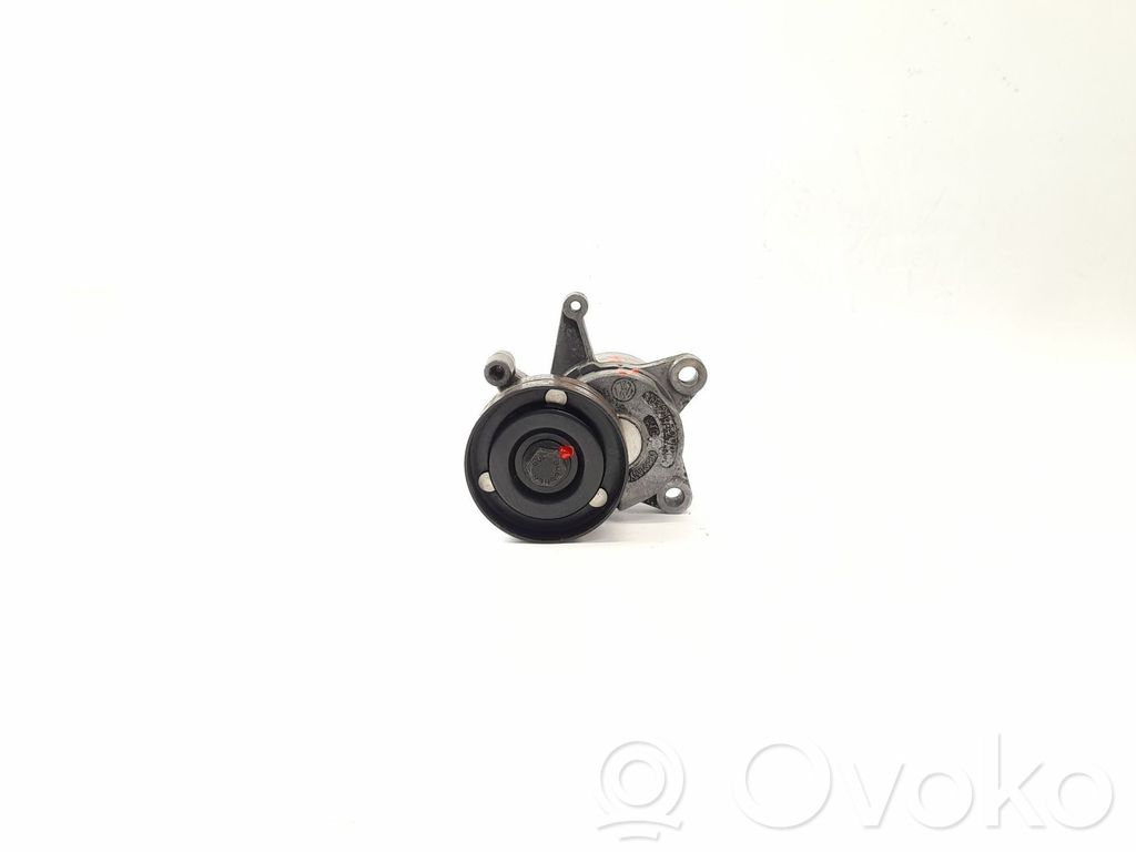 Seat Cordoba (6K) Tendicinghia generatore/alternatore 