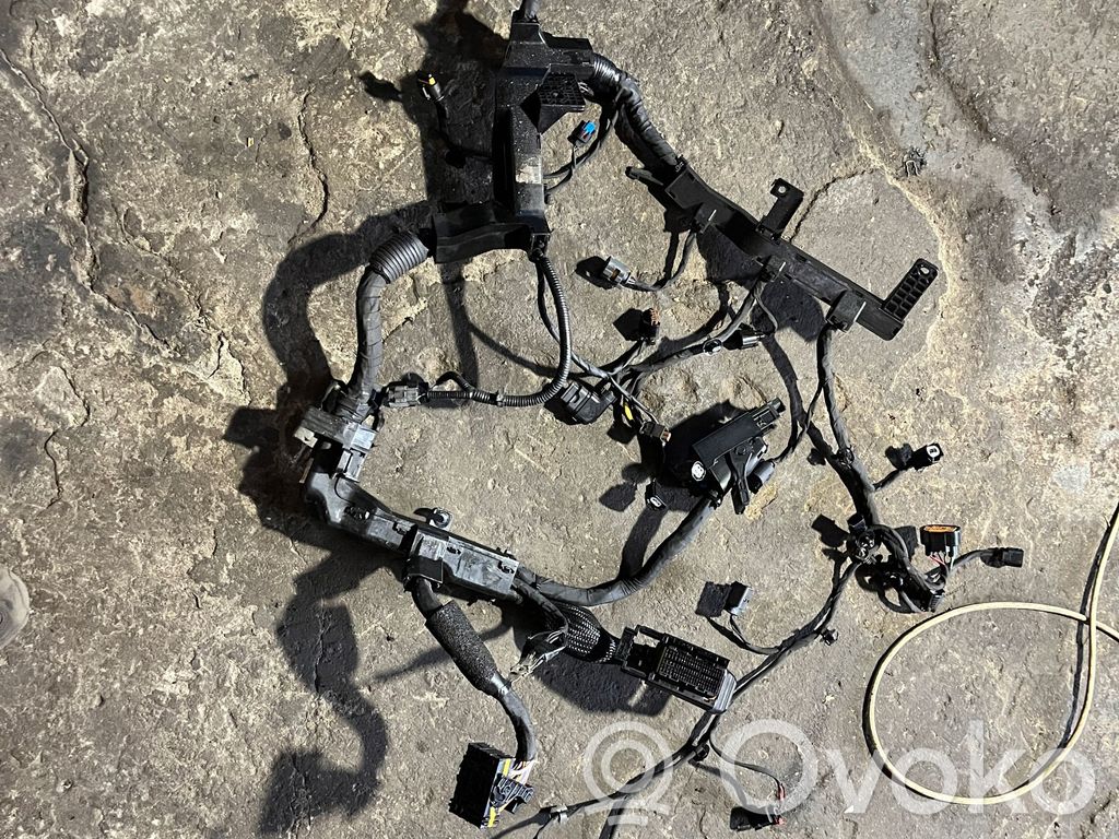 Engine installation wiring loom   D4FEOPTIMA