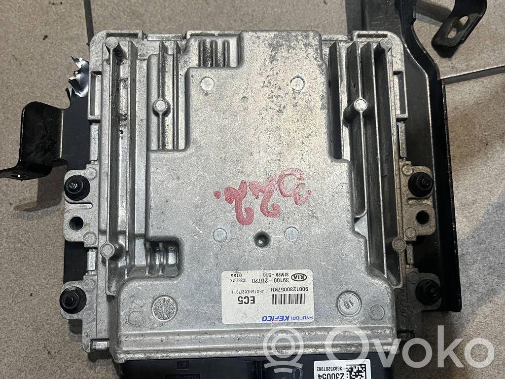 Engine control unit/module   391002U720
