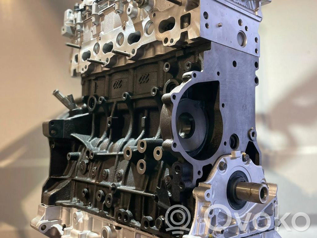 Silnik   DW10FCD
