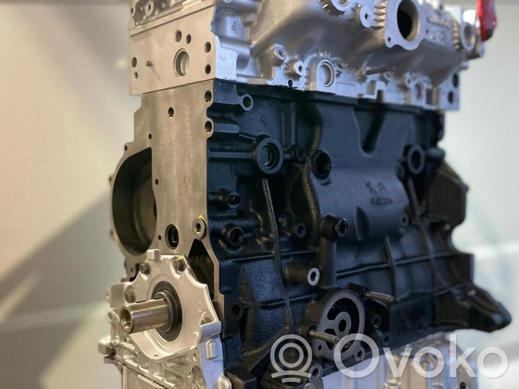 Motor   DW10FC