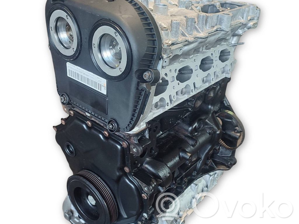 Motor completo   DNFB