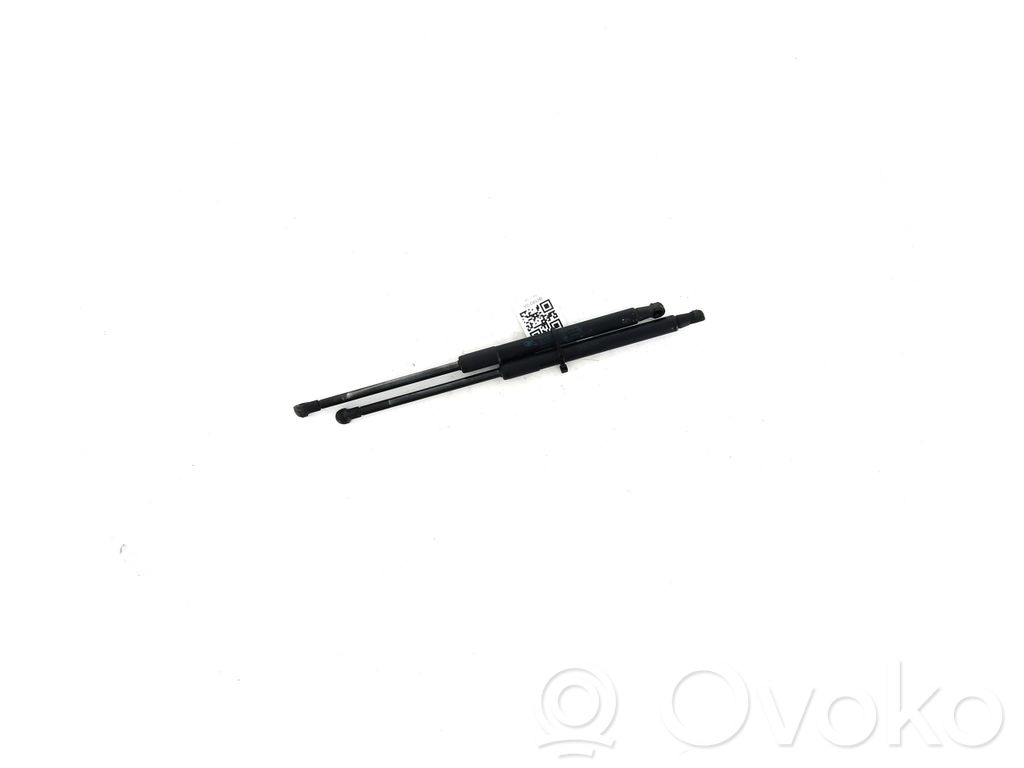 Tailgate strut   8731K8,Y00493B