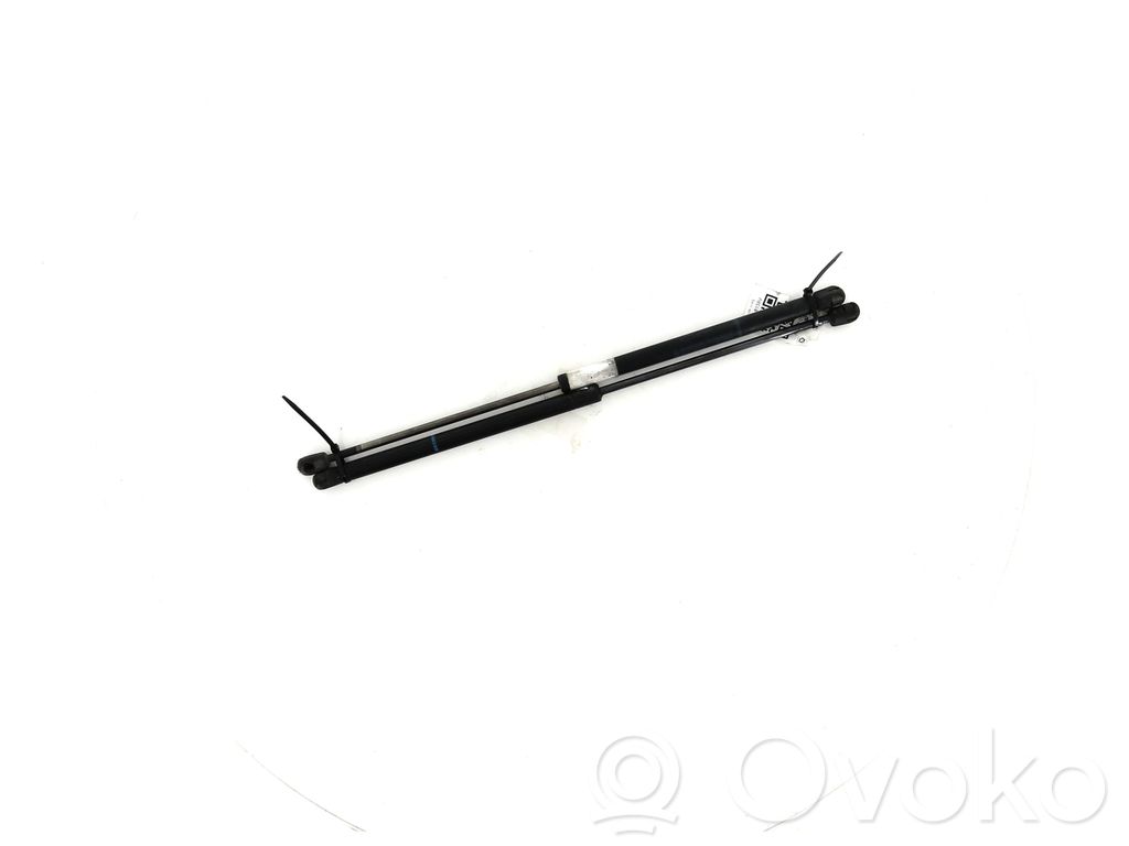 Ford Focus Tailgate strut 