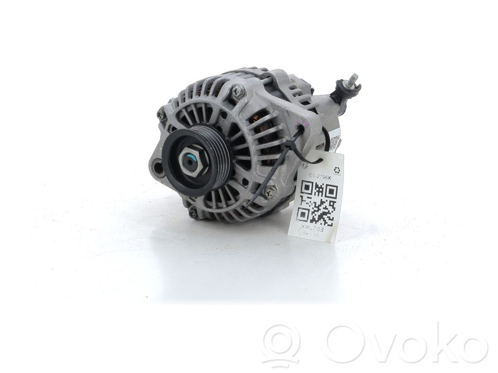 Generatorius   3140084E13,E02796K