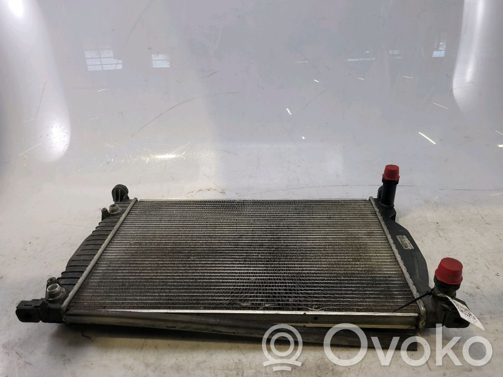 Seat Exeo (3R) Radiatore di raffreddamento 