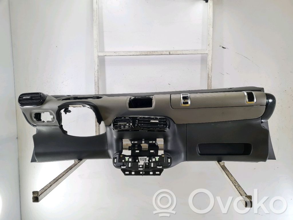 Citroen C4 Cactus Panelis 