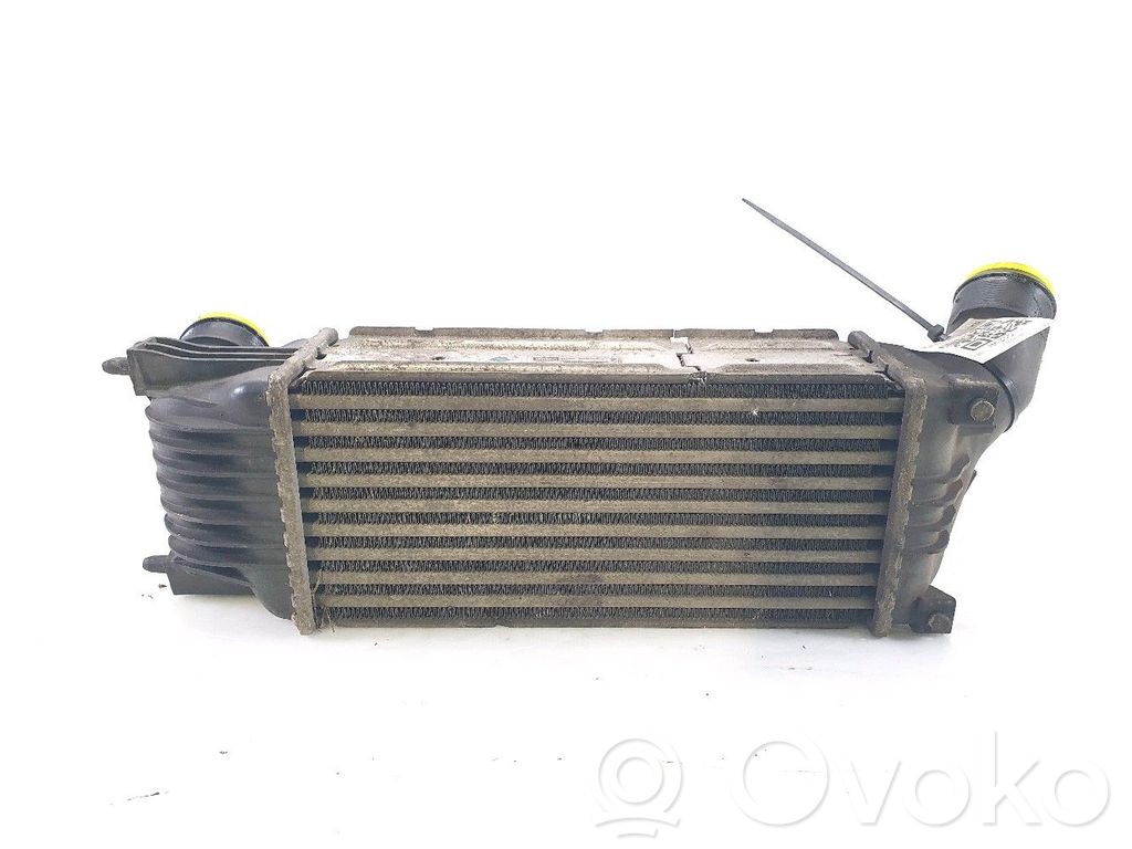 Citroen C5 Intercooler radiator 