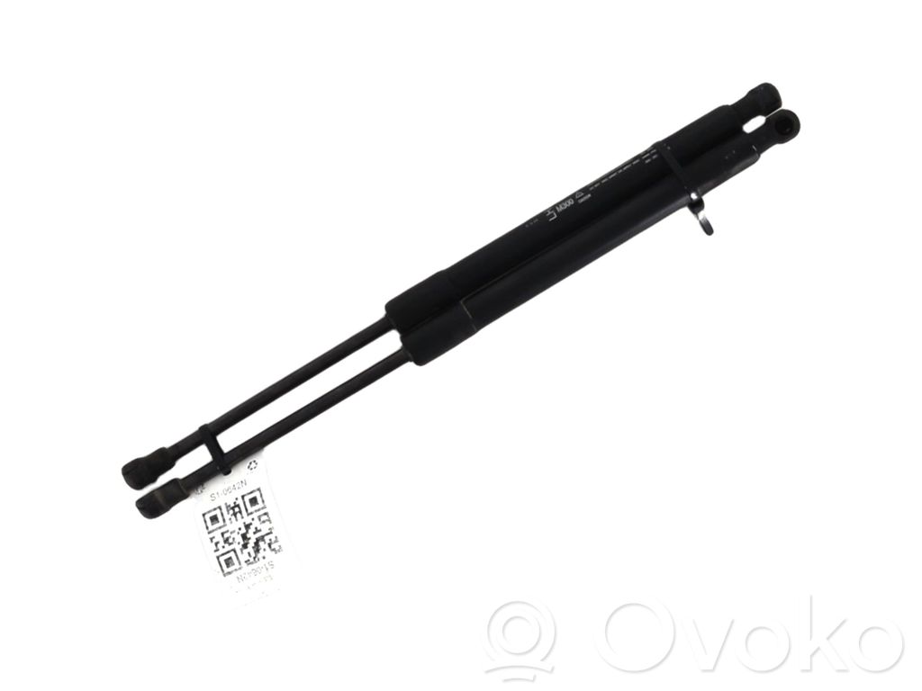 Tailgate strut   95962016,S10642N