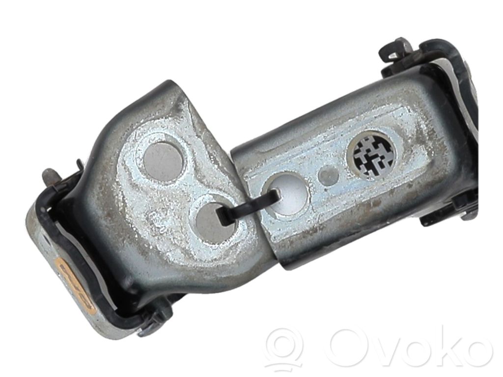 Citroen DS4 Set di cerniere portiera posteriore