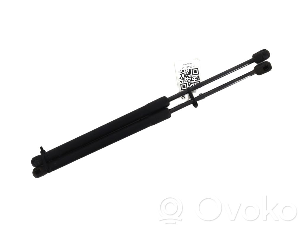 Suzuki Swift I Tailgate strut 