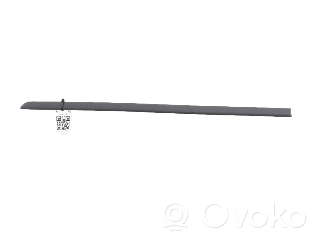 BMW 3 E46 Rear door trim (molding) 