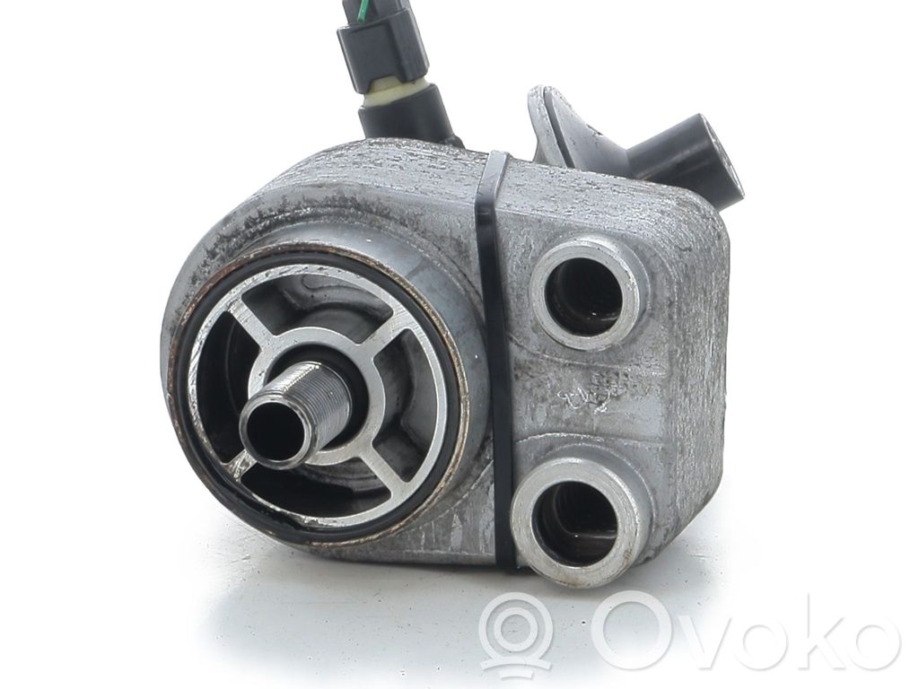 Renault Kangoo II Oil filter mounting bracket 