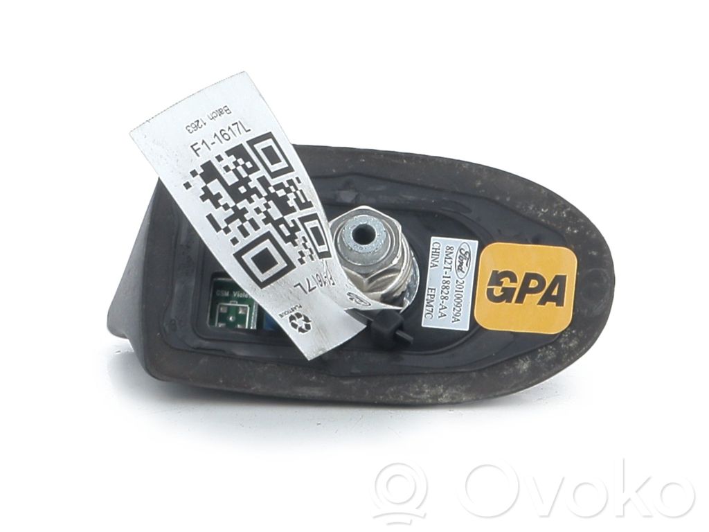 Ford S-MAX Radio antena 