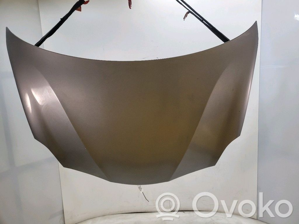 Konepelti   6000634832,X16875Q