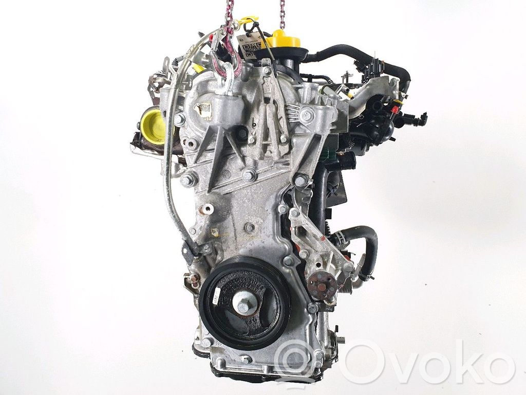 Moottori   H4D480,F17695S