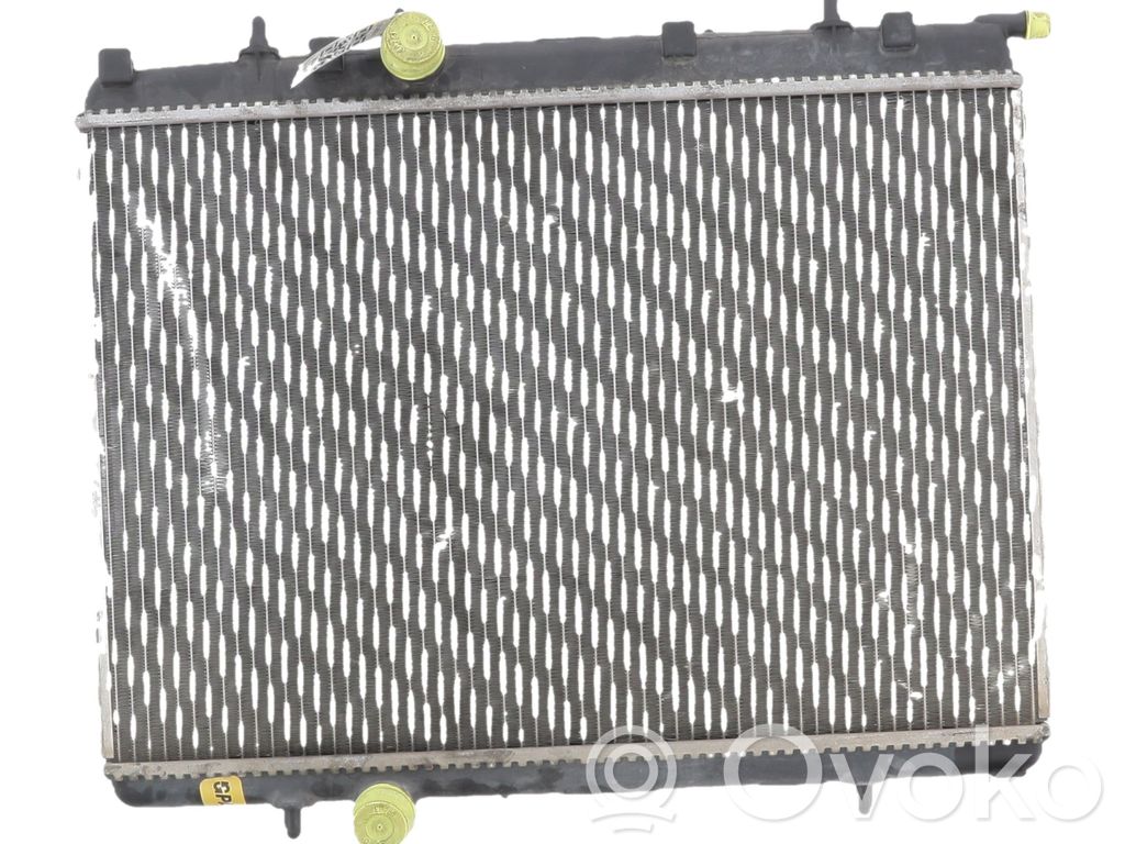 Peugeot 206 CC Radiator lichid răcire 
