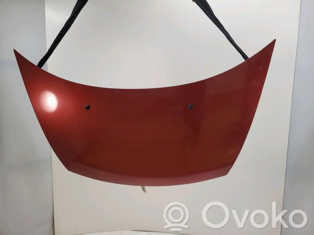 Vano motore/cofano   7901N0,U15695U