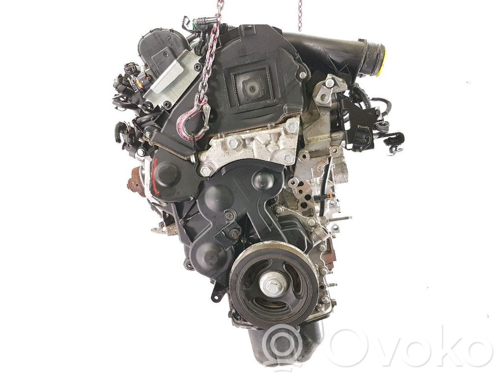 Motor   8H01,Z18260N