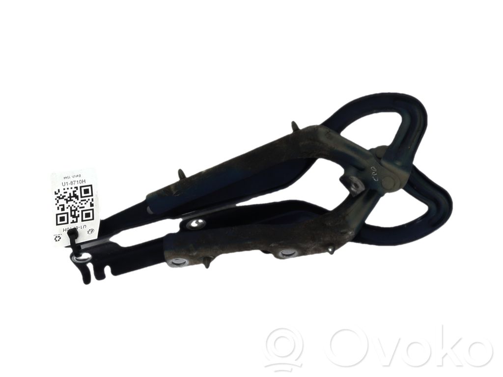 Peugeot 207 Bisagras del capó/tapa del motor
