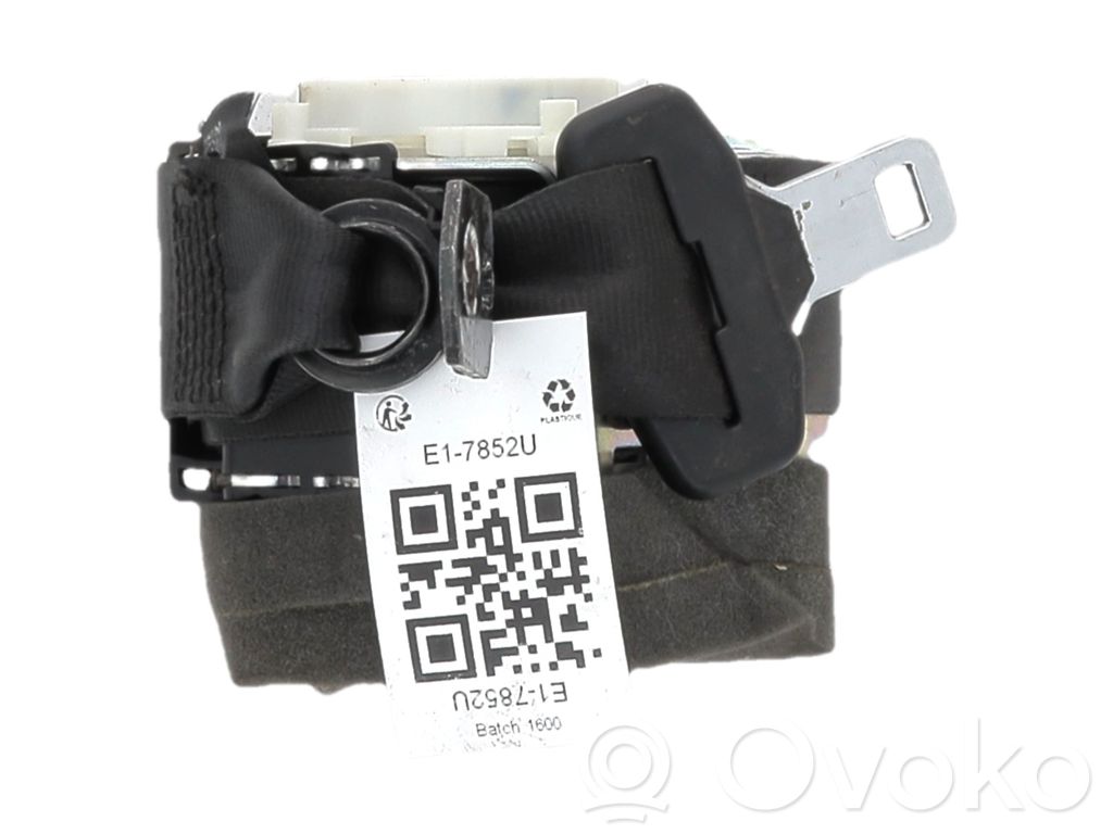 Ford Focus Sicherheitsgurt hinten 