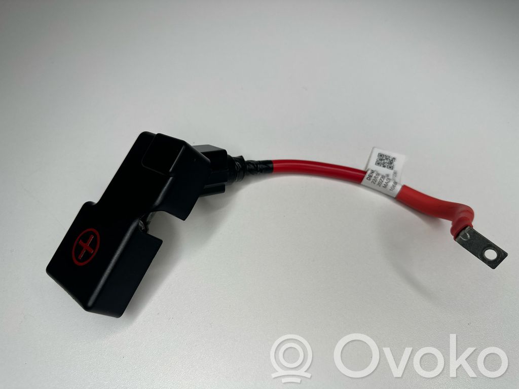 Câble de batterie positif   10460449,10888782