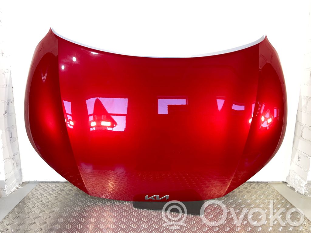 Engine bonnet/hood