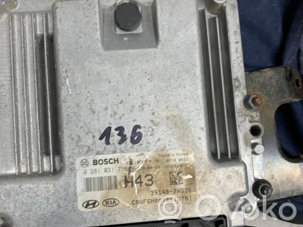 Engine control unit/module   391402A530,0281031716