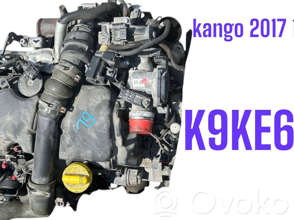 Renault Kangoo II Двигатель 