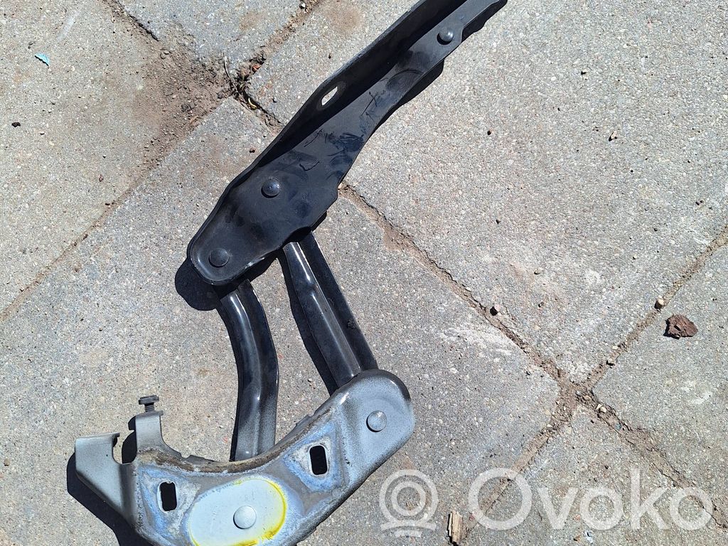 Engine bonnet/hood hinges