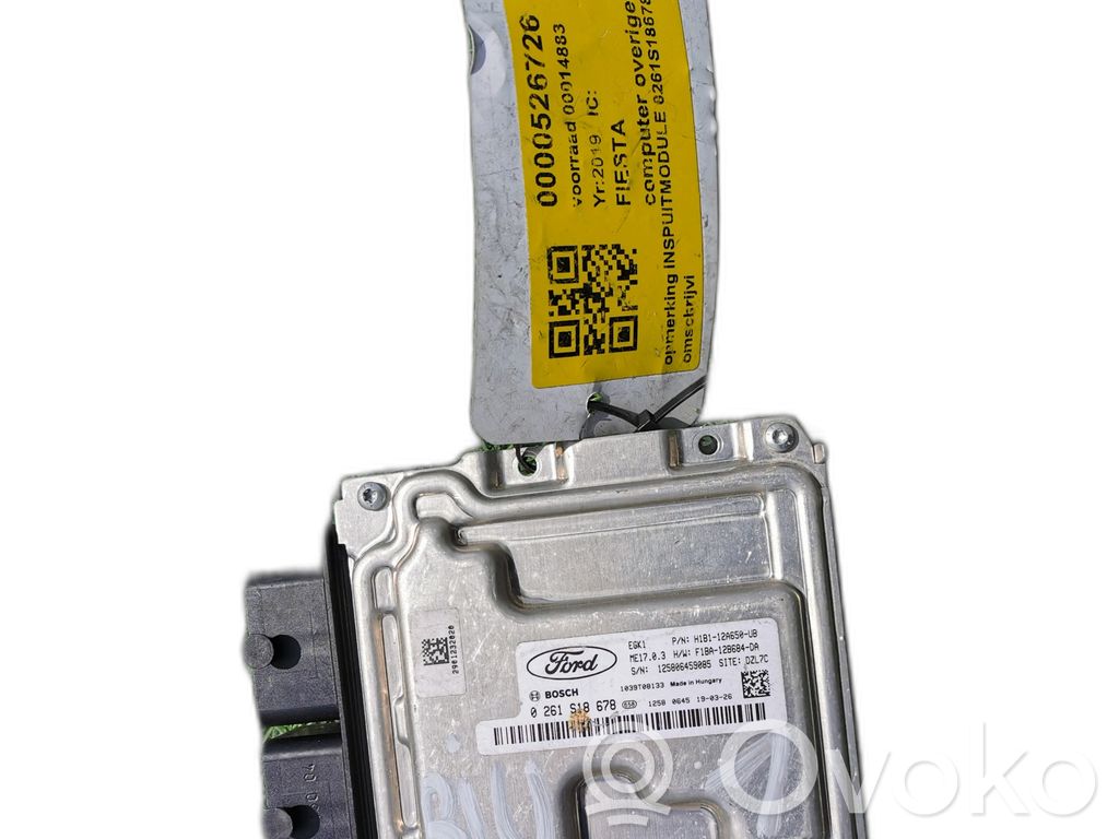 Engine control unit/module ECU