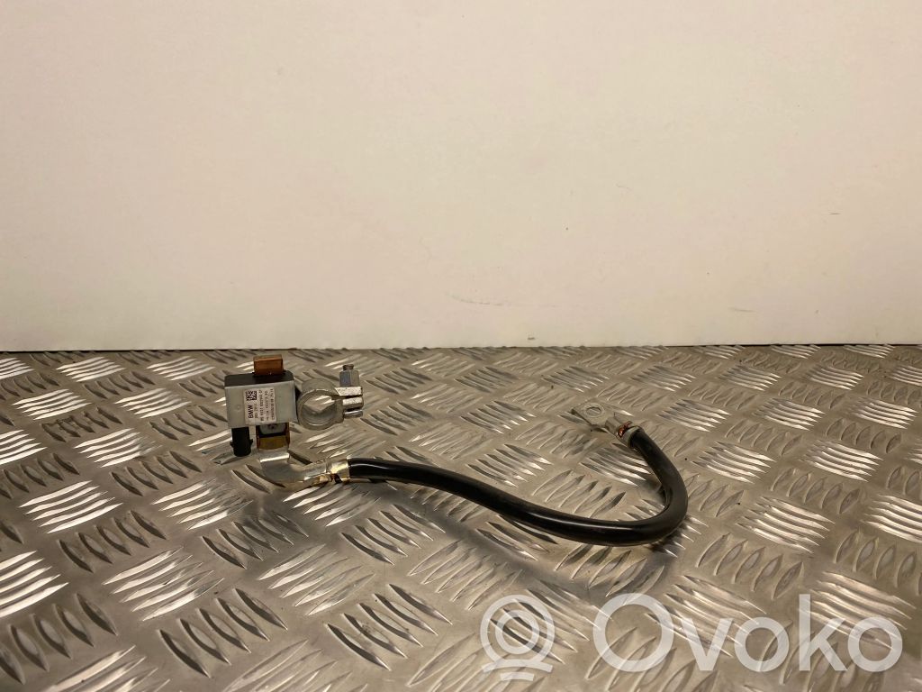 BMW 3 F30 F35 F31 Negative earth cable (battery) 