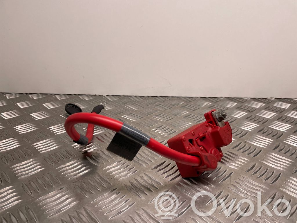 BMW 3 E92 E93 Pliusinis laidas (akumuliatoriaus) 