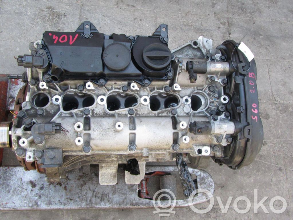 Variklis   31375378