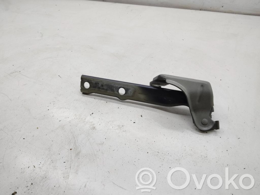 Volkswagen Tiguan Cerniere del vano motore/cofano 