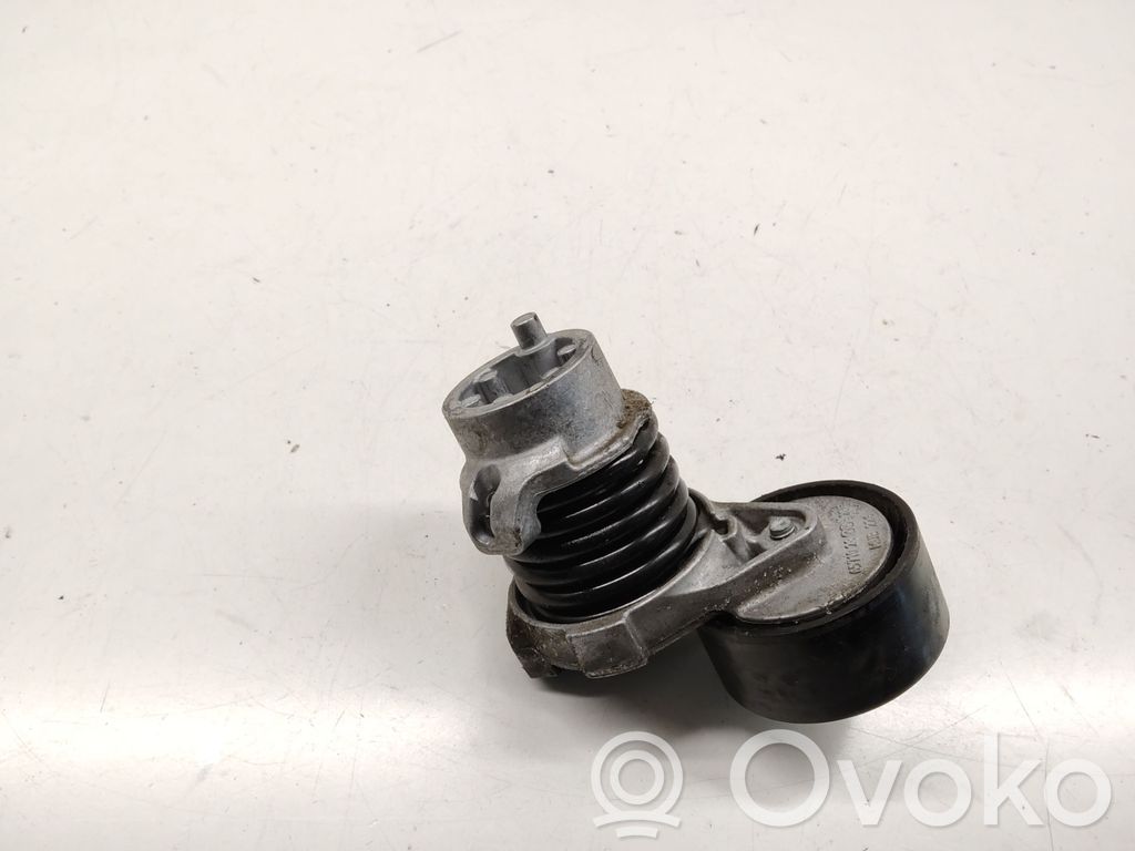 Renault Kangoo II Întinzător curea generator/alternator 