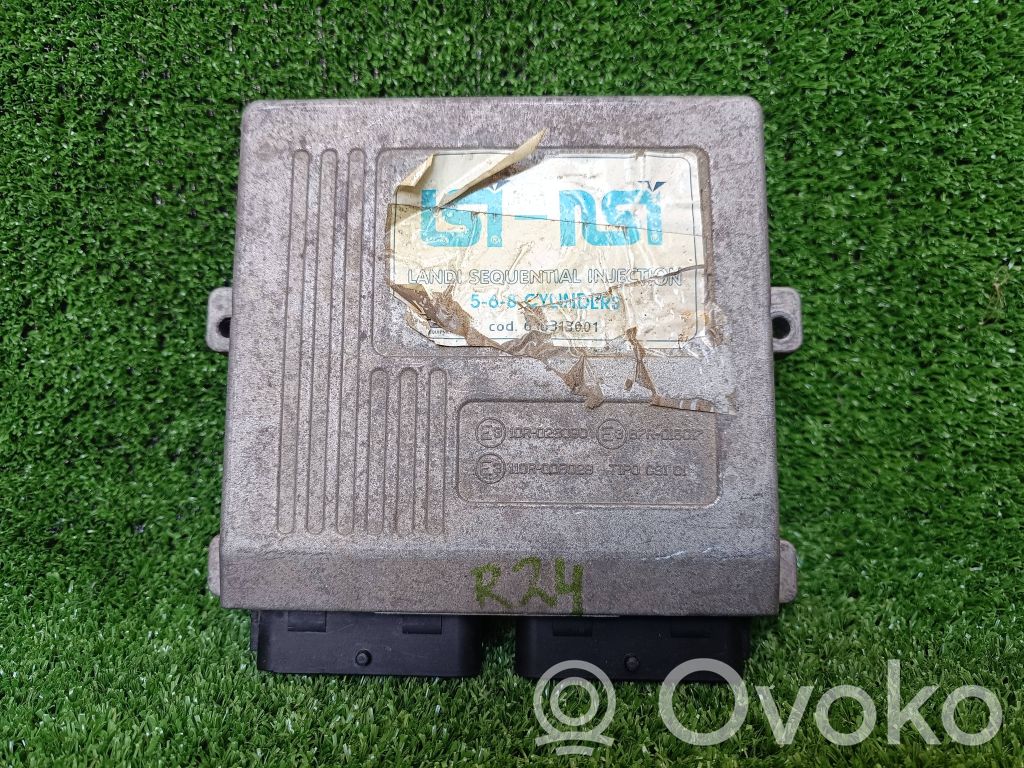 LP gas control unit module   616313001